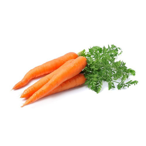 Ploog – Uprawa warzyw & wysyłka